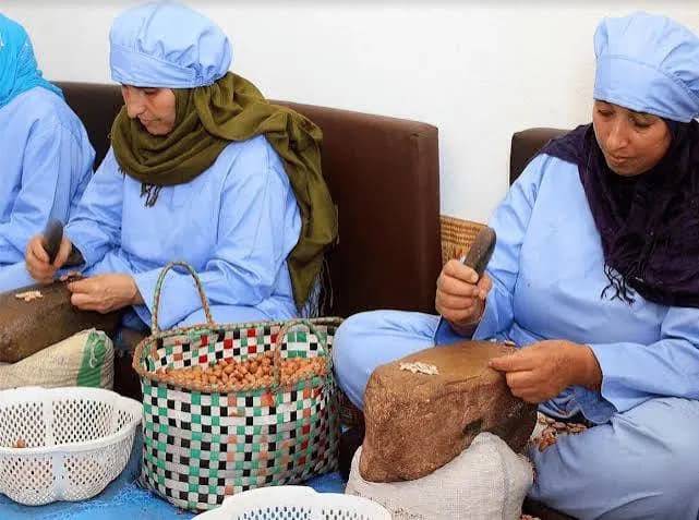 Steel vats and glass jugs of argan oil in cooperative lab,